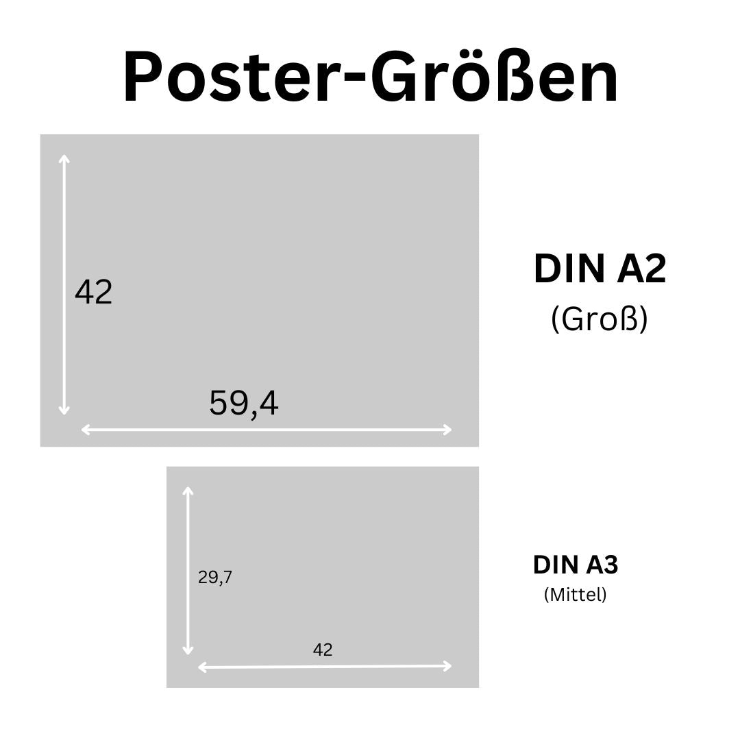 DDR Reibkopfknaller Übersicht Schautaufel Poster (9565155787016)