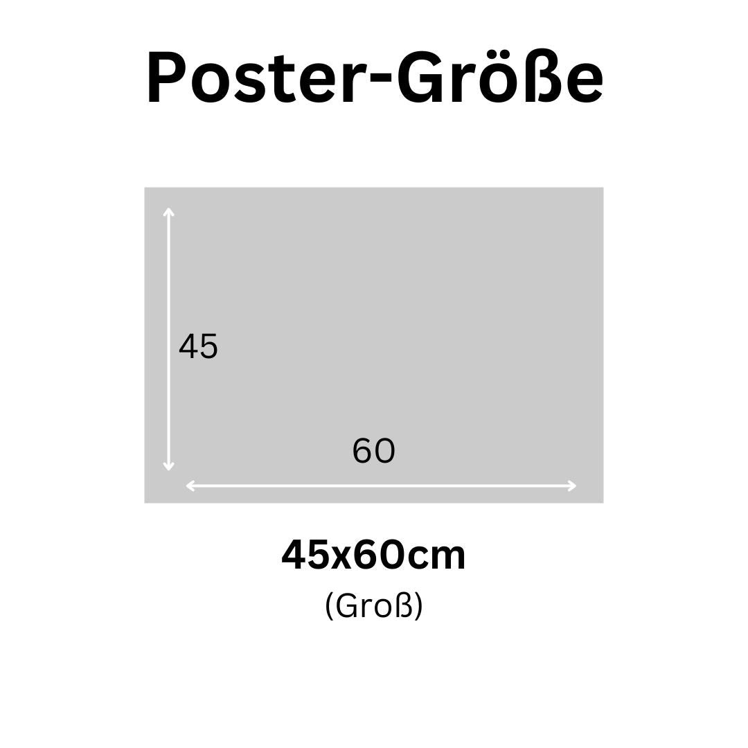 DDR Reibkopfknaller Übersicht Schautafel eingerahmtes Poster (9565156802824)