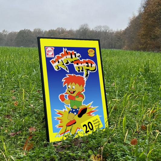 Weco Feuerwerk Knall Fred Schwärmer Raritäten Label eingerahmtes Poster